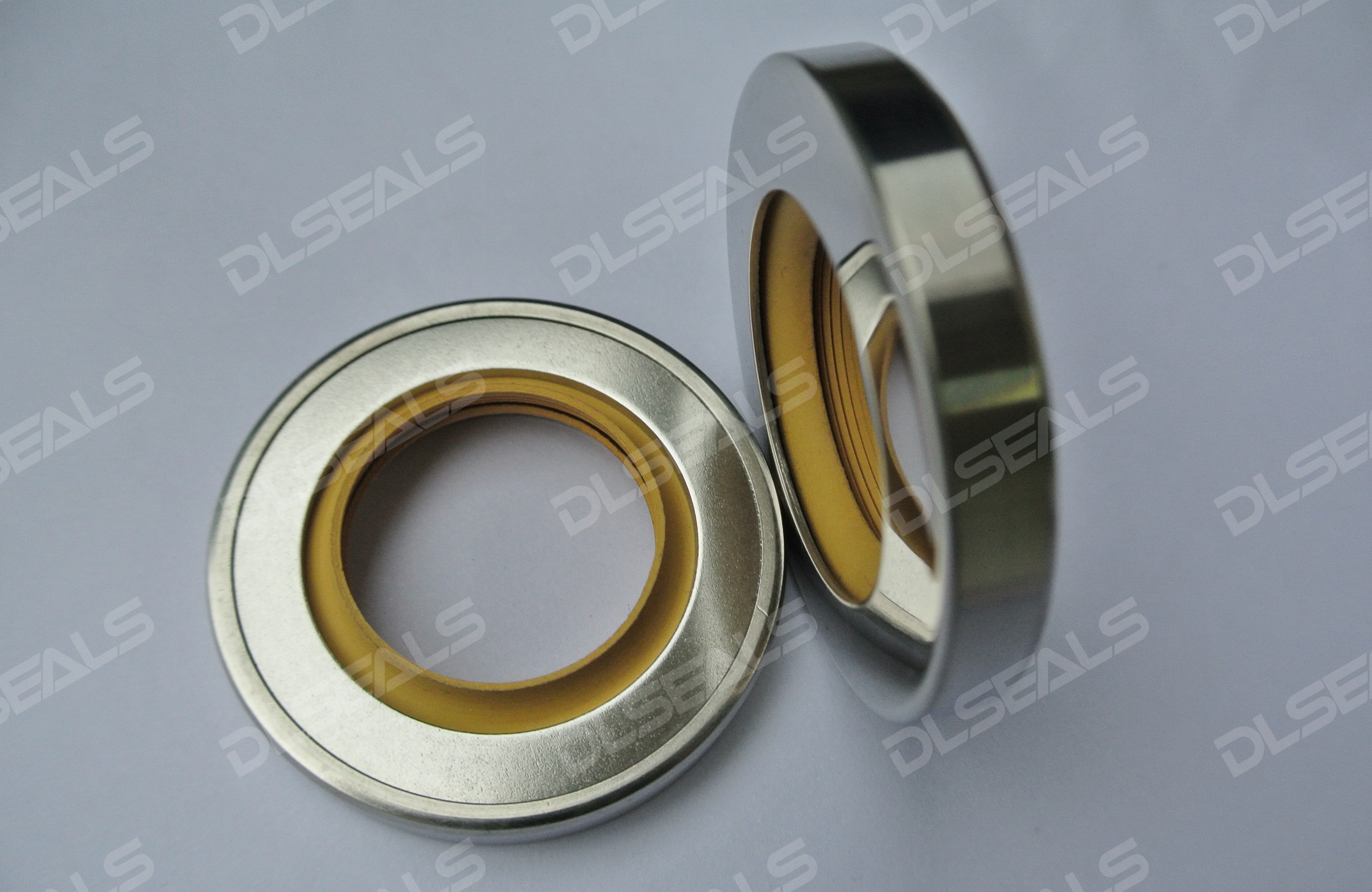 Stainless Steel Double-Lip Bidirectional Oil Seal