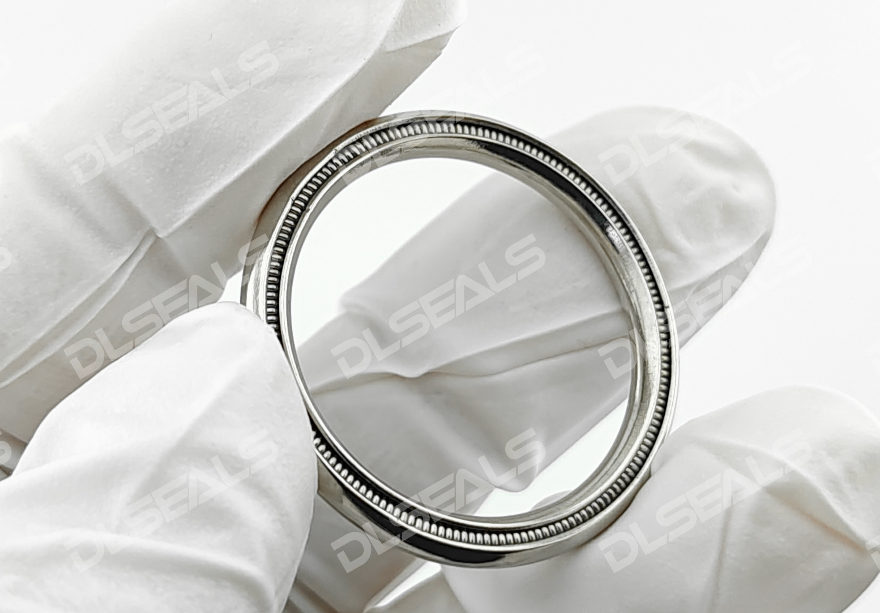 Nuclear power plant seals